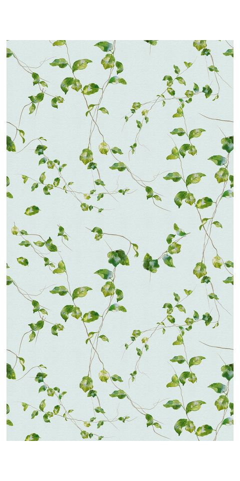 Papel de parede 'Vine Whispers' 159x280cm