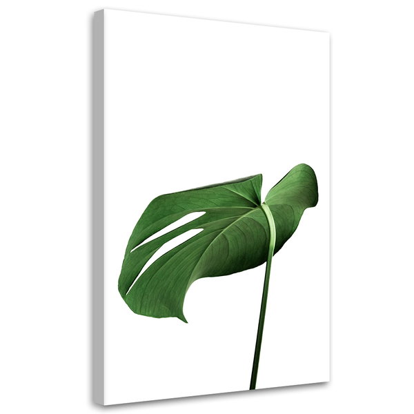 Kunstdruck auf Leinwand 'Monstera Leaves'