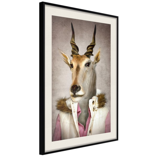 Poster 'Antelope Jessica'