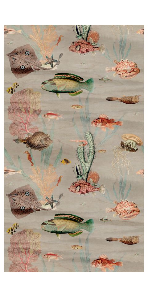 Tapeta 'Ocean Wonders' 159x280cm