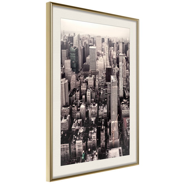 Poster 'New York from a Bird's Eye View'
