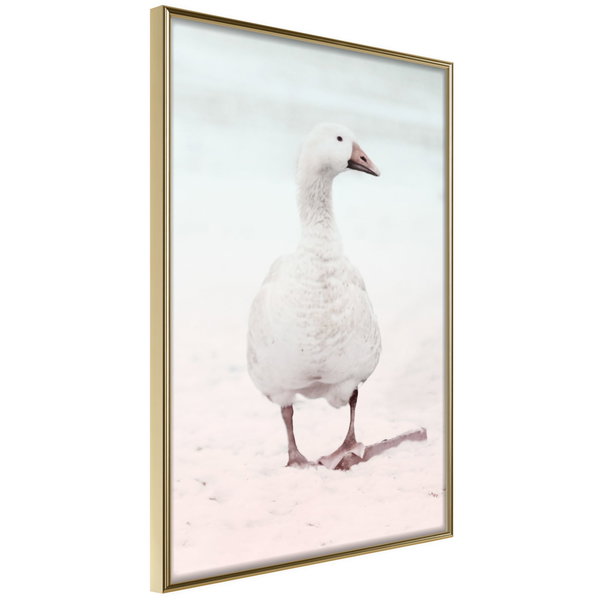 Poster 'Walking Goose'