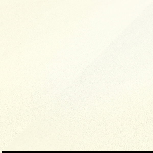 Wallpaper 'Way of Silence' 53x1005cm