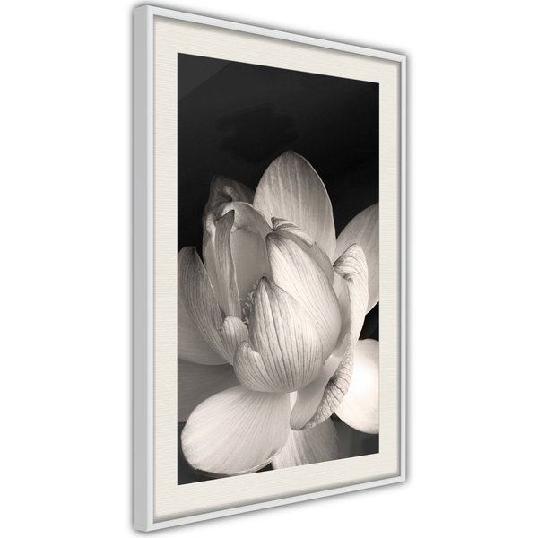 Poster 'Delicacy of a Flower'