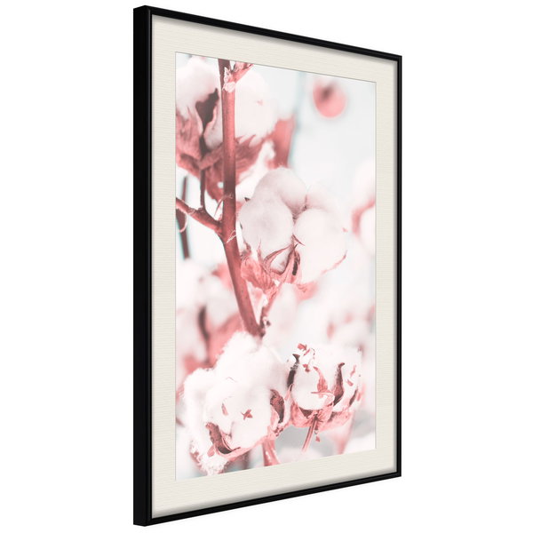 Poster 'Blooming Cotton'