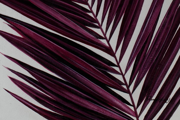Generously applied colours
