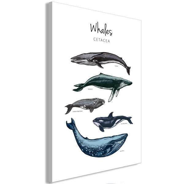 Impression sur toile 'Whales Vertical'
