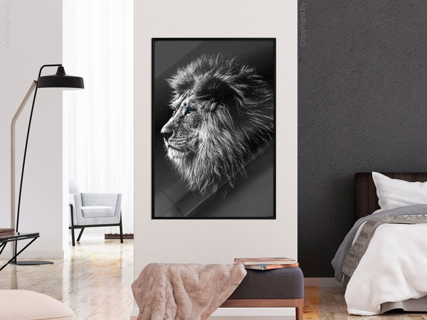 Poster 'Blue-eyed Lion'