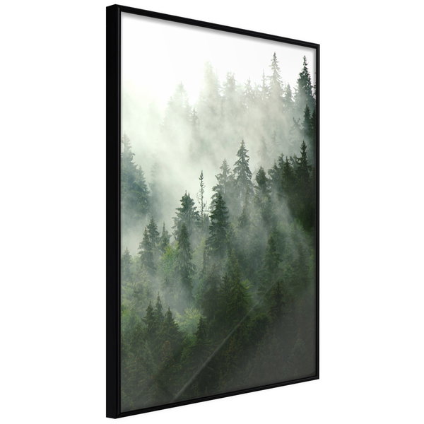 Poster 'Steaming Forest'