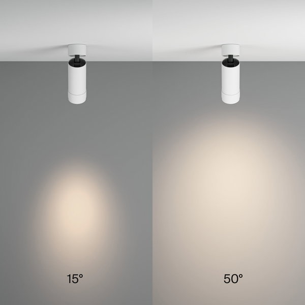 Plafondverlichting 'Focus Zoom 4'