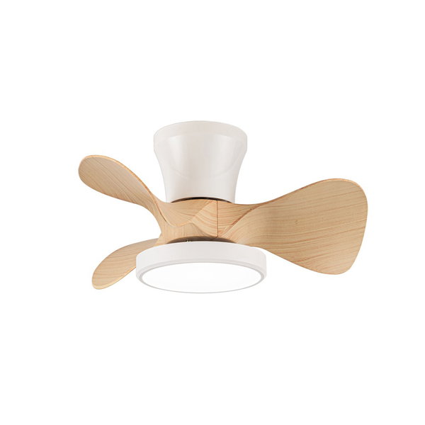 Deckenventilator 'Moll MC1'