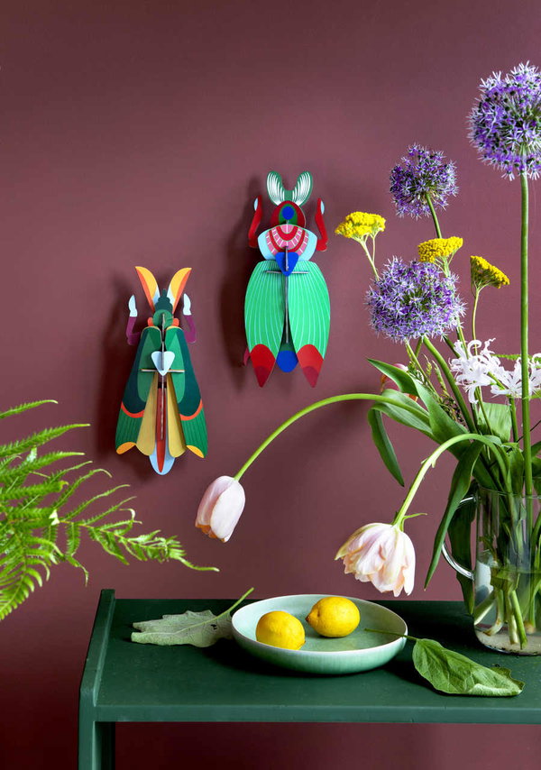 Karton 3d fali dekoráció 'Scarab Beetle Decor'