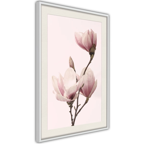 Poster 'Blooming Magnolias III'