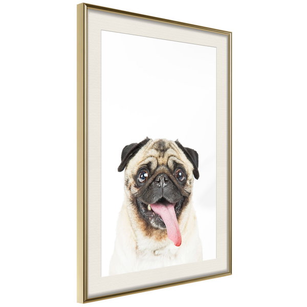 Poster 'Pug'
