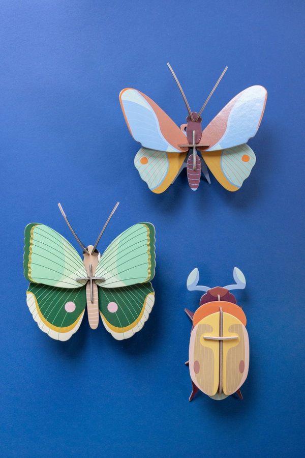 Wanddeko Papier 'Jade-Schmetterling'