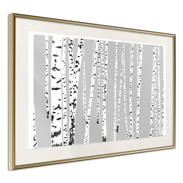 Juliste 'Birch Wood'