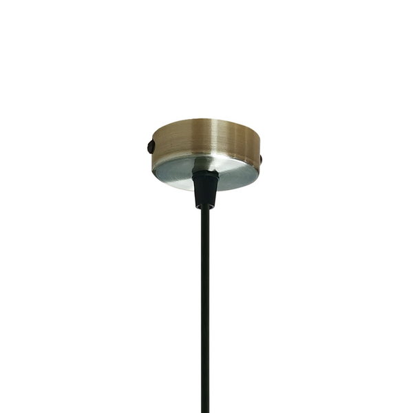 Pendelleuchte 'Ari AP1'