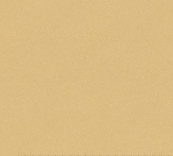 Wallpaper 'Versace Butterfly 7' 28x396inches