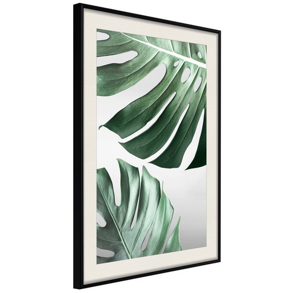 Poster 'Leaves Like Swiss Cheese'