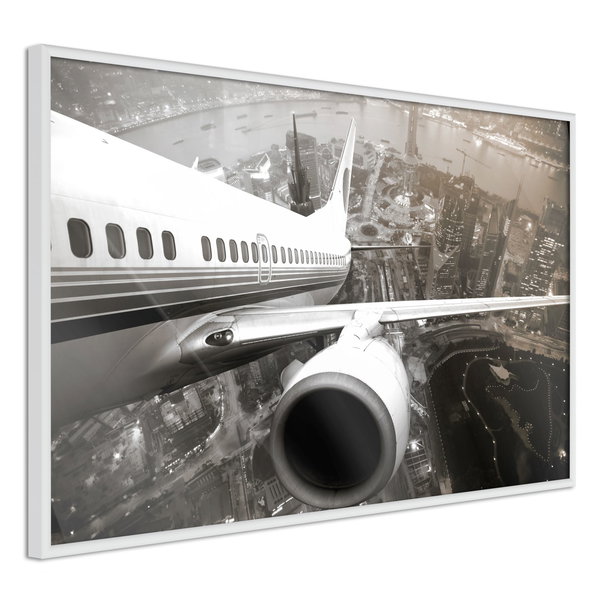 Poster 'Plane Wing'