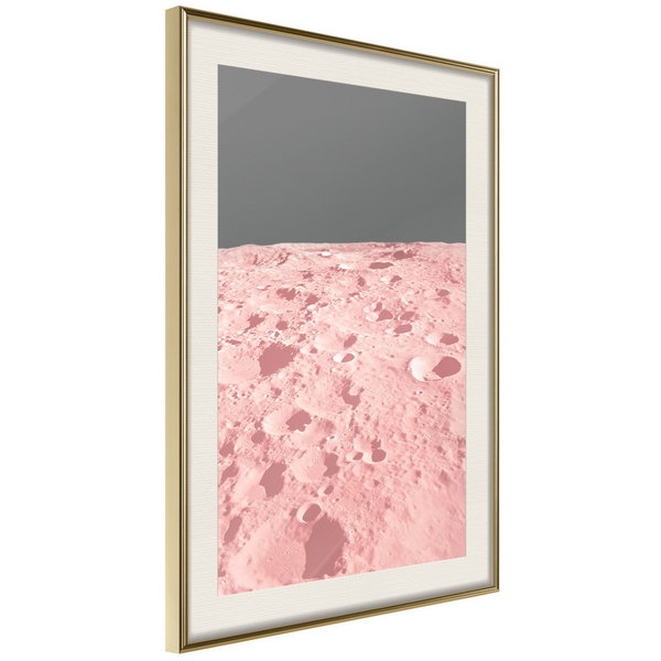 Poster 'Pink Moon'