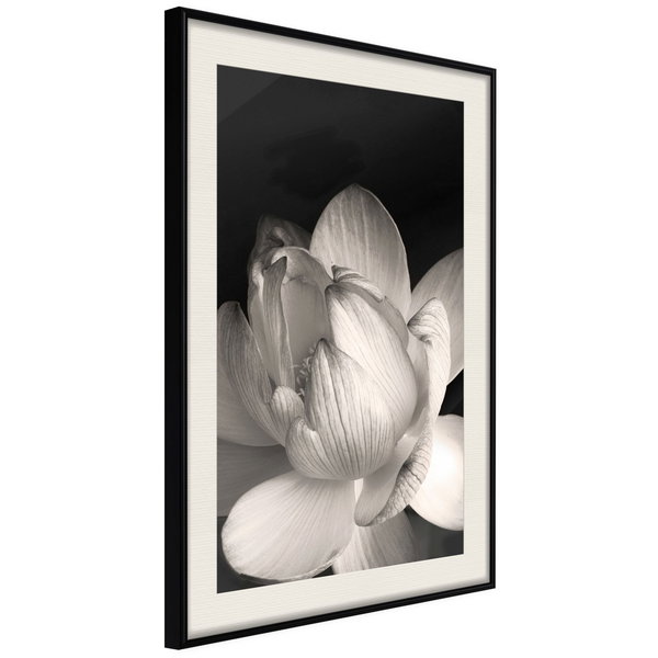 Poster 'Delicacy of a Flower'