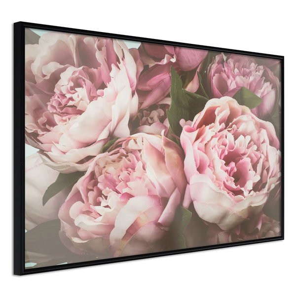 Poster 'Pink Peonies'