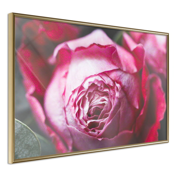 Aφίσα τοίχου 'Blooming Rosae'