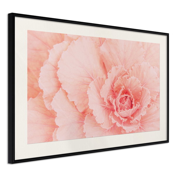 Poster 'Delicate Petals'