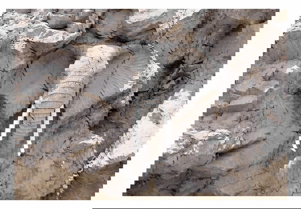 Zelfklevend behang 'The Elephant Wall'