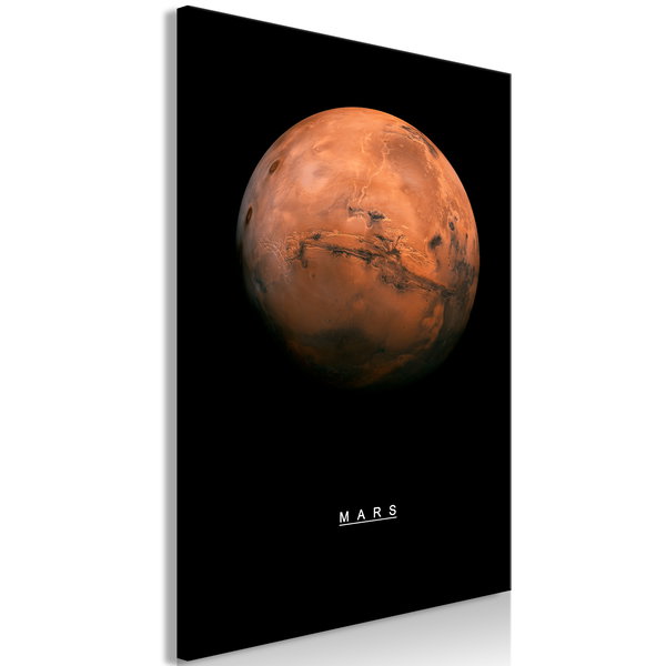Kunstdruk op canvas 'Mars Vertical'