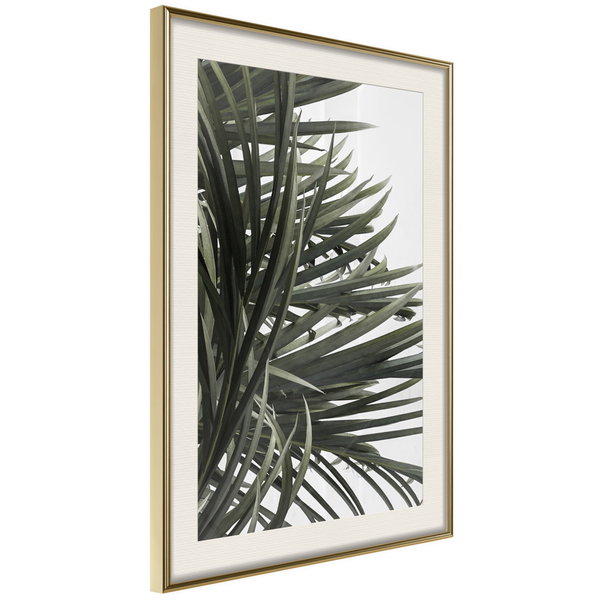 Poster 'Little Tropics'