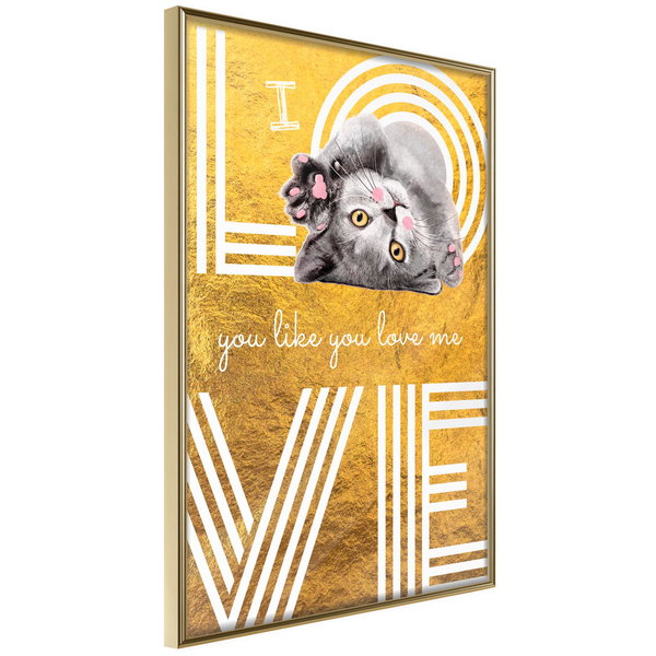 Poster 'I Love You like You Love Me'