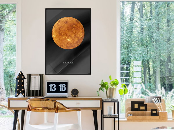 Poster 'Venus'