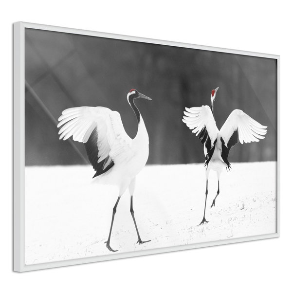 Poster 'Bird Date'