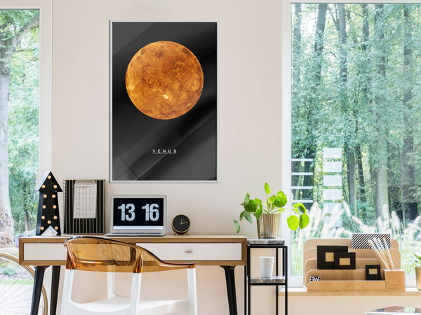Poster 'Venus'