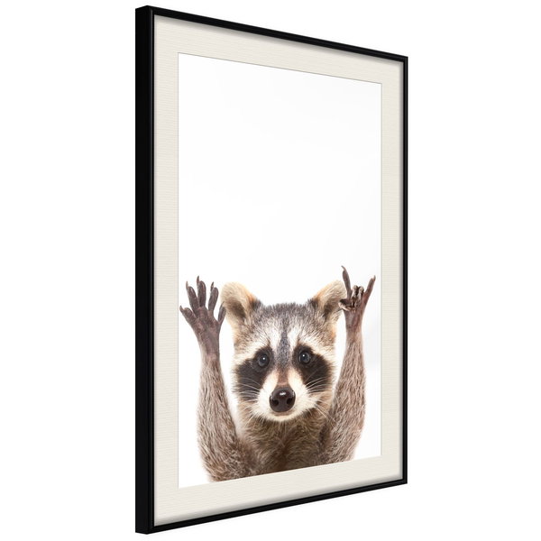 Poster 'Raccoon'