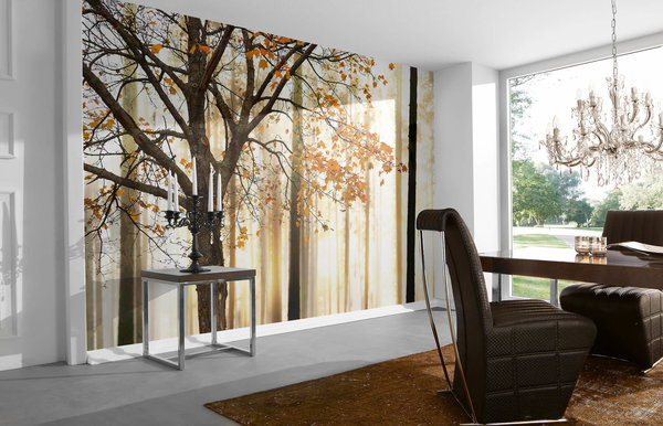 Tapete 'Tree Detail' 400x267cm