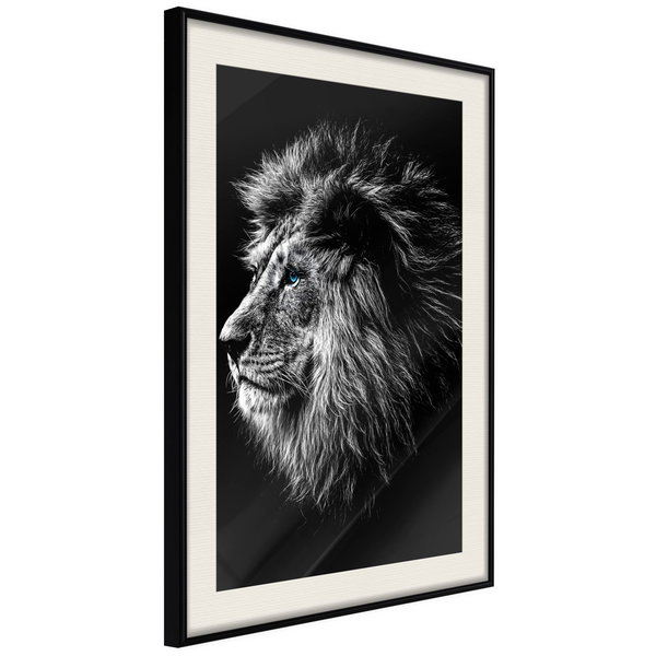 Poster 'Blue-eyed Lion'