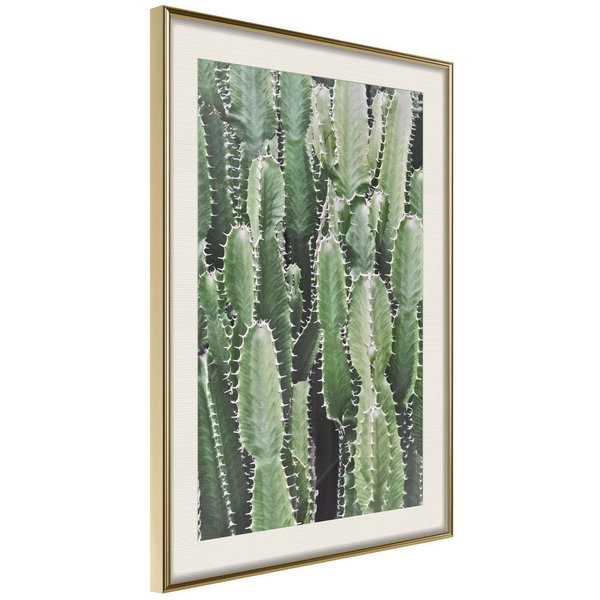 Poster 'Cactus Plantation'