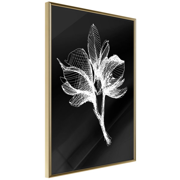 Poster 'White Plant'