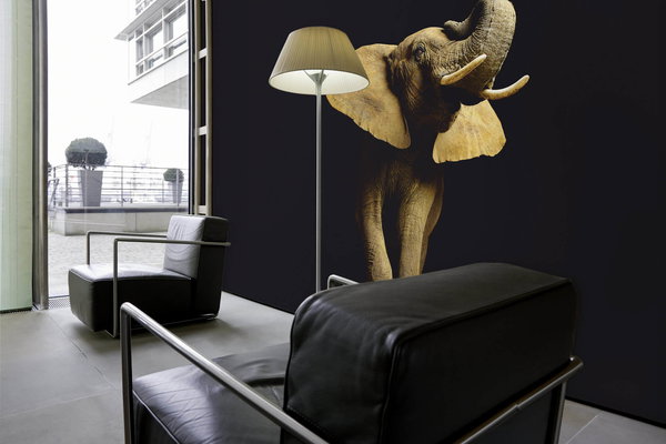 Tapete 'Elephant Front' 400x267cm