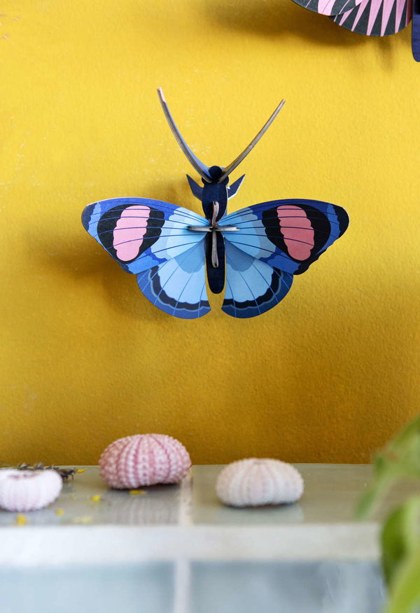 Wanddeko Papier 'Pfauenauge'