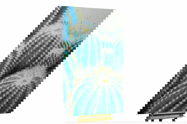 Een uniek exemplaar voor je interieur