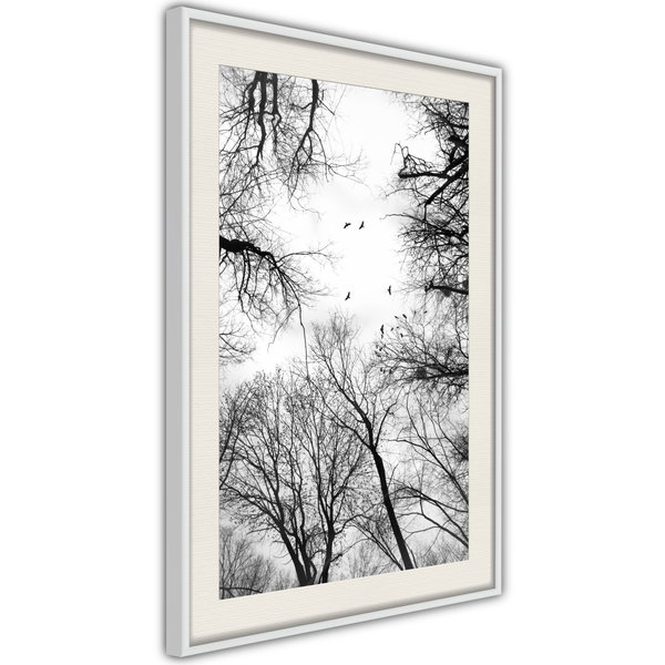 Poster 'Treetops'