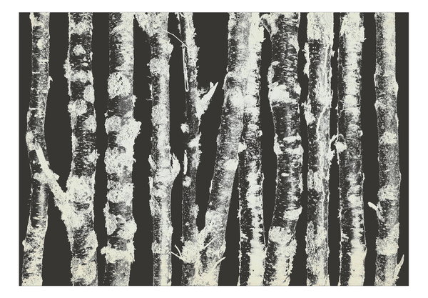 Papier peint autocollant 'Stately Birches - Second Variant'