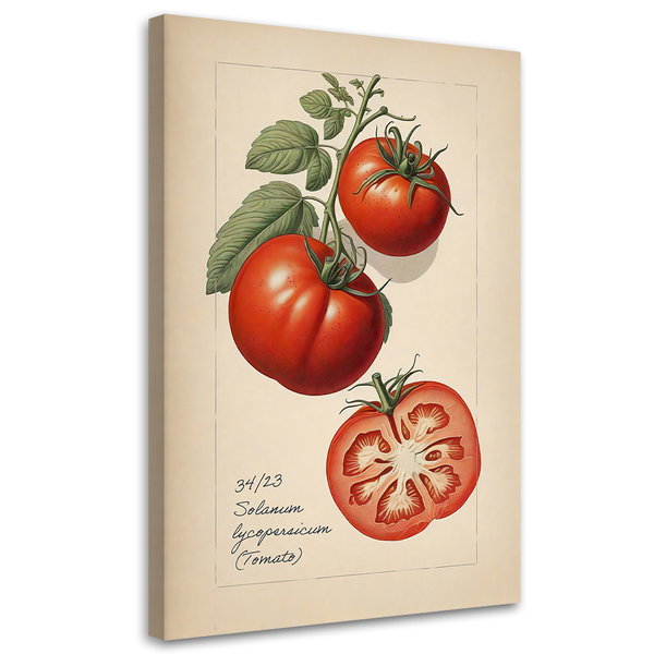 Impressão em tela 'Tomato'