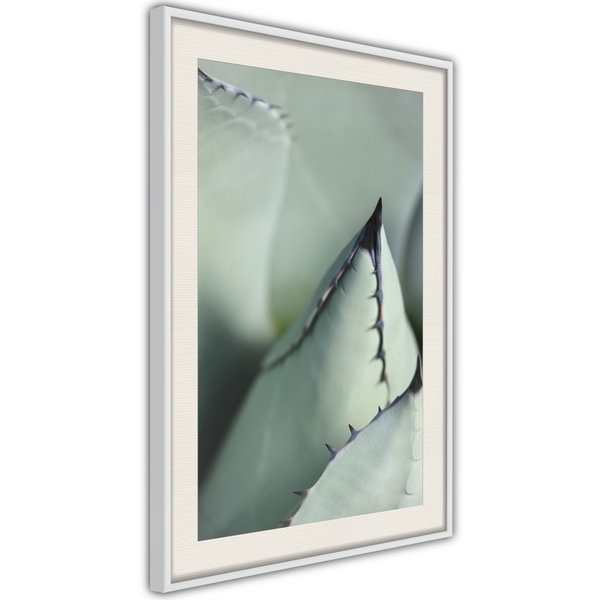 Poster 'Young Leaf of Agave'