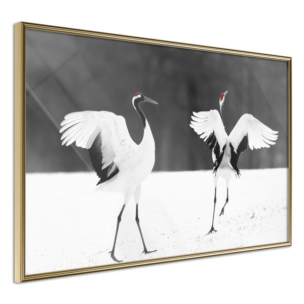 Poster 'Bird Date'