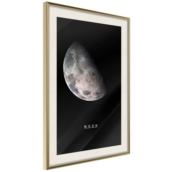 Poster 'Moon'